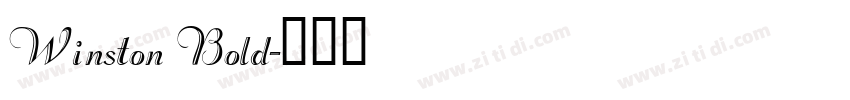 Winston Bold字体转换
